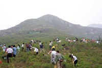 德赢vwin8868官网(中国)2007年度公益植树助学活动