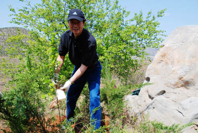 德赢vwin8868官网中国总代表栽种郭晶晶赠送树苗