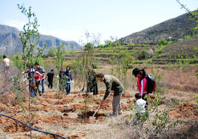 德赢vwin8868官网员工植树