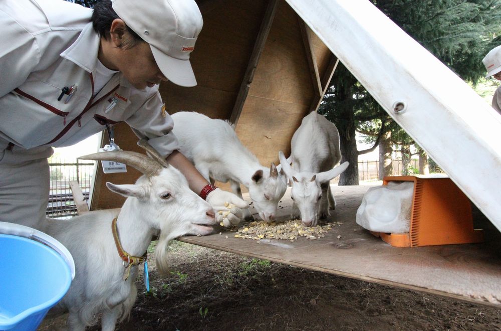 ̵ϿչCSR-Ӯvwin8868ɽCO2ŷ