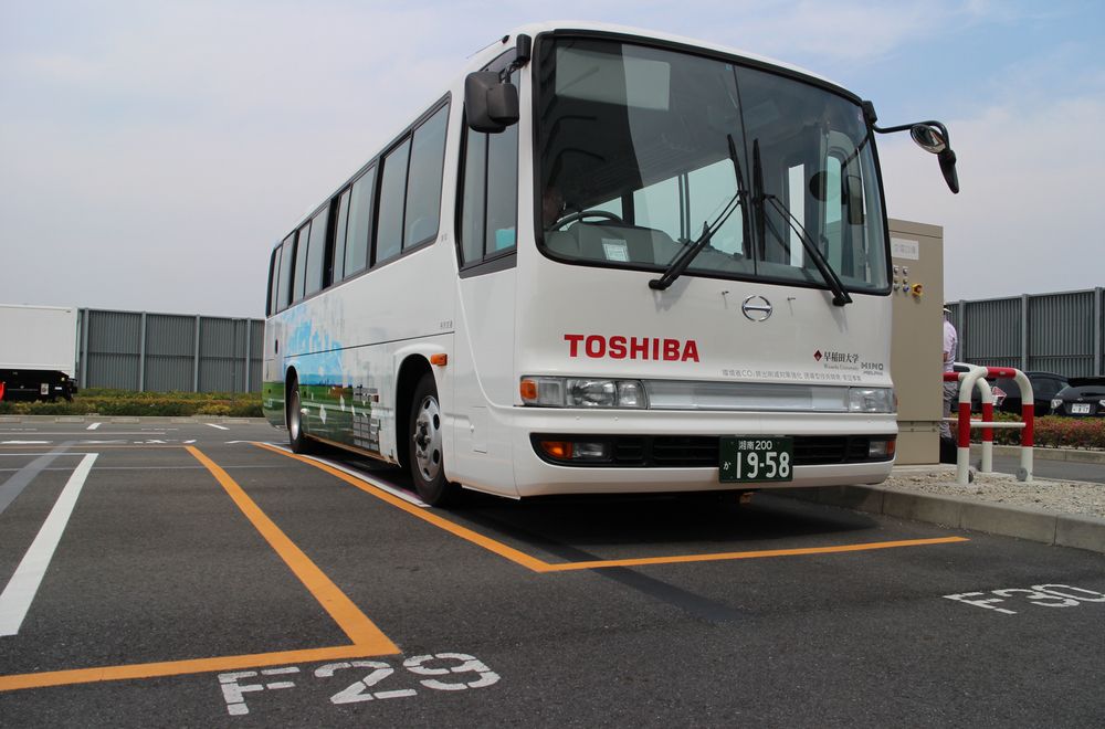 綯˼ʻ綯-֧Щػʲô